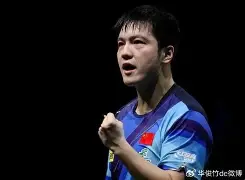 樊振东的热火将会排东部引热议(樊振东不是去德甲了吗怎么还参加乒超)|游戏mg